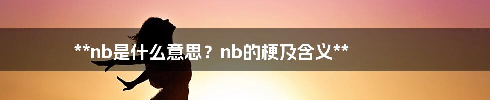 **nb是什么意思？nb的梗及含义**