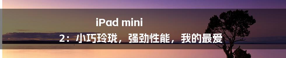 iPad mini 2：小巧玲珑，强劲性能，我的最爱