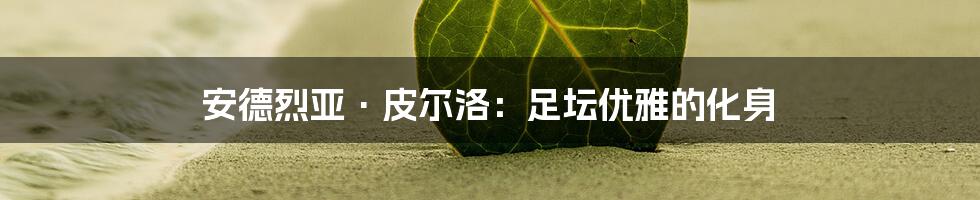 安德烈亚·皮尔洛：足坛优雅的化身