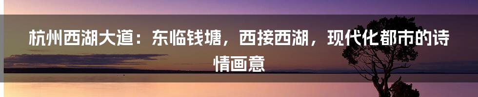 杭州西湖大道：东临钱塘，西接西湖，现代化都市的诗情画意