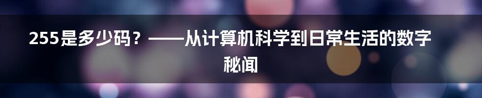 255是多少码？——从计算机科学到日常生活的数字秘闻