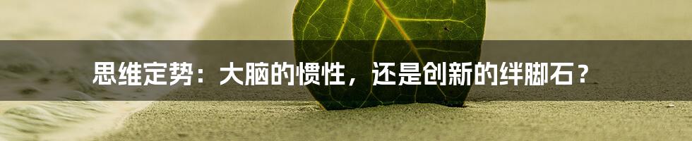 思维定势：大脑的惯性，还是创新的绊脚石？