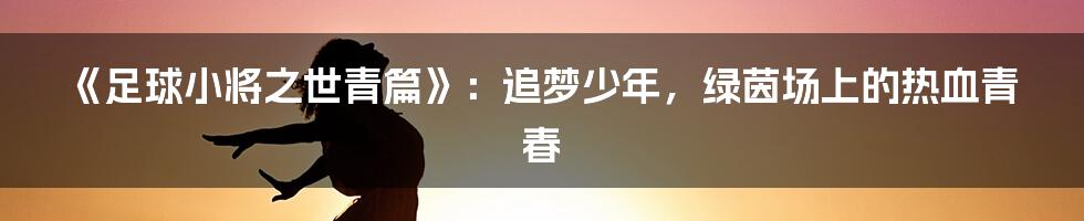 《足球小将之世青篇》：追梦少年，绿茵场上的热血青春