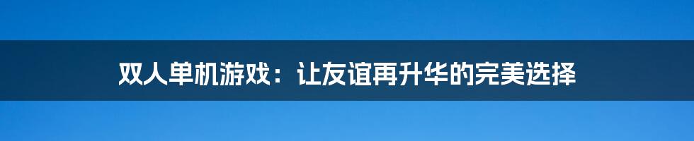 双人单机游戏：让友谊再升华的完美选择