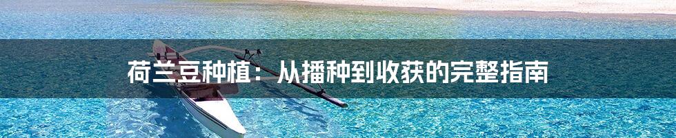 荷兰豆种植：从播种到收获的完整指南