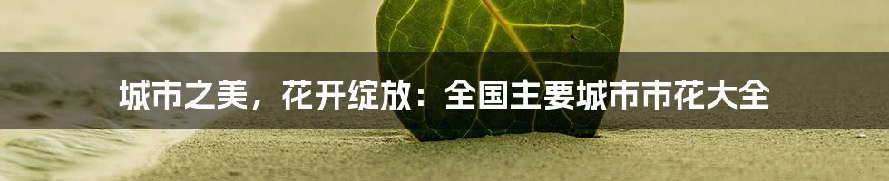 城市之美，花开绽放：全国主要城市市花大全