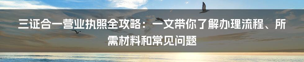 三证合一营业执照全攻略：一文带你了解办理流程、所需材料和常见问题