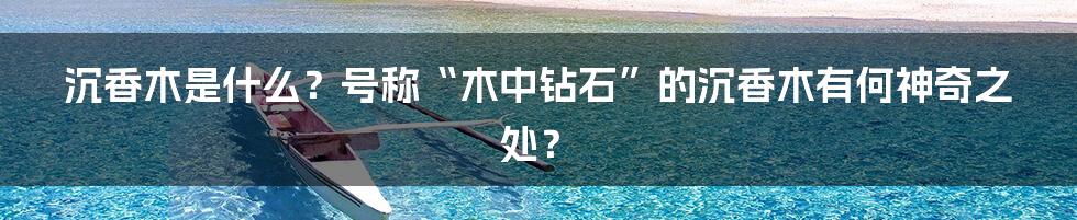 沉香木是什么？号称“木中钻石”的沉香木有何神奇之处？