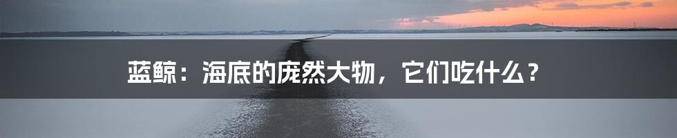 蓝鲸：海底的庞然大物，它们吃什么？