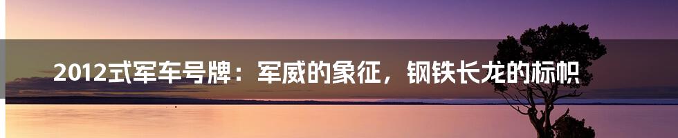 2012式军车号牌：军威的象征，钢铁长龙的标帜