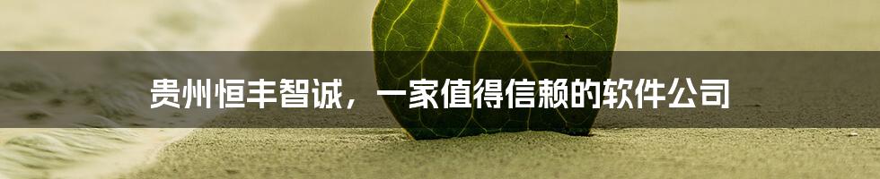 贵州恒丰智诚，一家值得信赖的软件公司