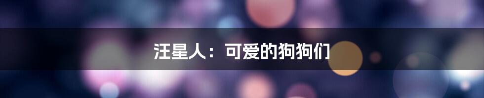 汪星人：可爱的狗狗们