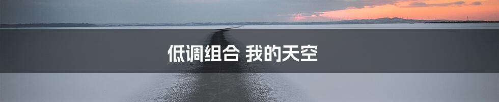 低调组合 我的天空