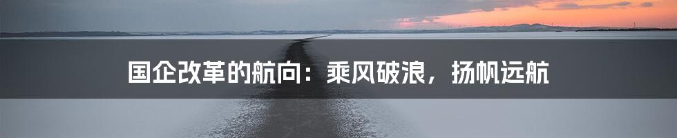 国企改革的航向：乘风破浪，扬帆远航