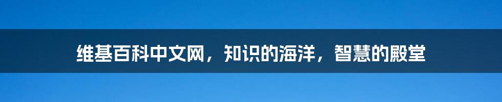 维基百科中文网，知识的海洋，智慧的殿堂