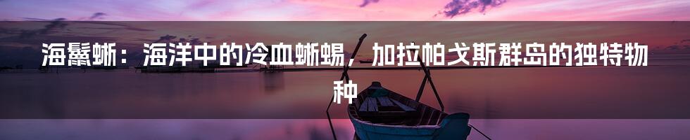 海鬣蜥：海洋中的冷血蜥蜴，加拉帕戈斯群岛的独特物种