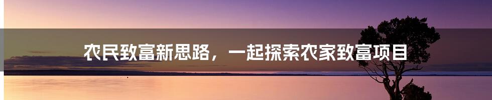 农民致富新思路，一起探索农家致富项目