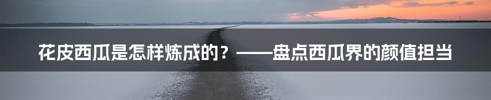 花皮西瓜是怎样炼成的？——盘点西瓜界的颜值担当