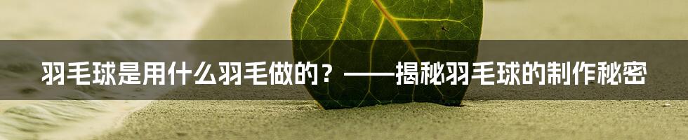 羽毛球是用什么羽毛做的？——揭秘羽毛球的制作秘密