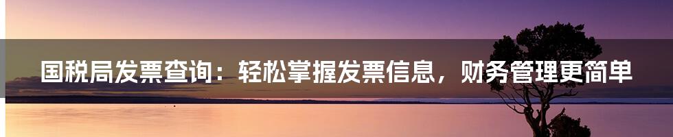 国税局发票查询：轻松掌握发票信息，财务管理更简单