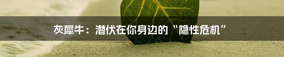 灰犀牛：潜伏在你身边的“隐性危机”