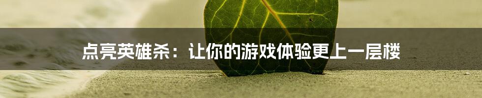 点亮英雄杀：让你的游戏体验更上一层楼