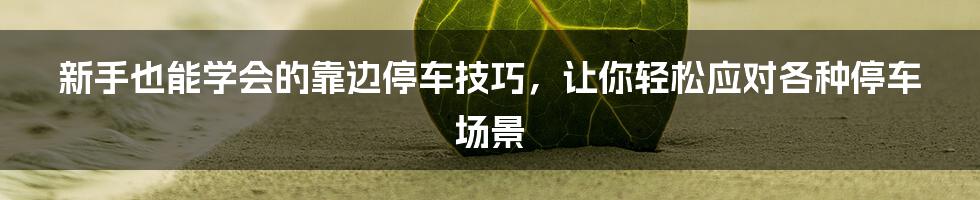 新手也能学会的靠边停车技巧，让你轻松应对各种停车场景