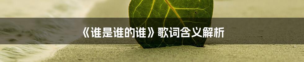 《谁是谁的谁》歌词含义解析