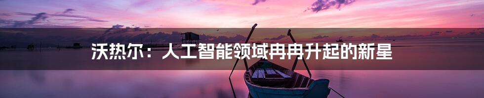 沃热尔：人工智能领域冉冉升起的新星