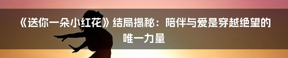 《送你一朵小红花》结局揭秘：陪伴与爱是穿越绝望的唯一力量