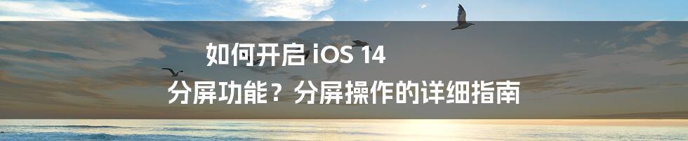 如何开启 iOS 14 分屏功能？分屏操作的详细指南