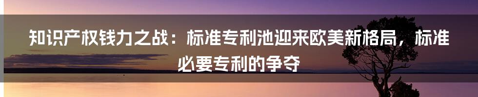 知识产权钱力之战：标准专利池迎来欧美新格局，标准必要专利的争夺