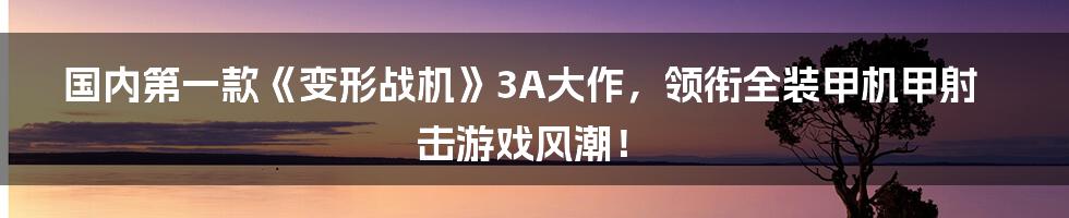 国内第一款《变形战机》3A大作，领衔全装甲机甲射击游戏风潮！