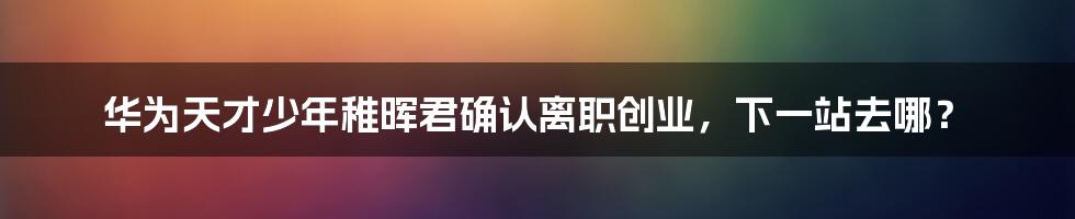 华为天才少年稚晖君确认离职创业，下一站去哪？