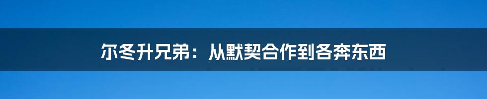 尔冬升兄弟：从默契合作到各奔东西