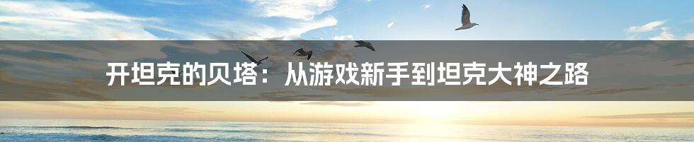 开坦克的贝塔：从游戏新手到坦克大神之路