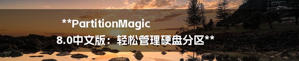 **PartitionMagic 8.0中文版：轻松管理硬盘分区**