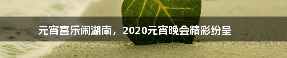 元宵喜乐闹湖南，2020元宵晚会精彩纷呈