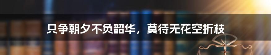 只争朝夕不负韶华，莫待无花空折枝