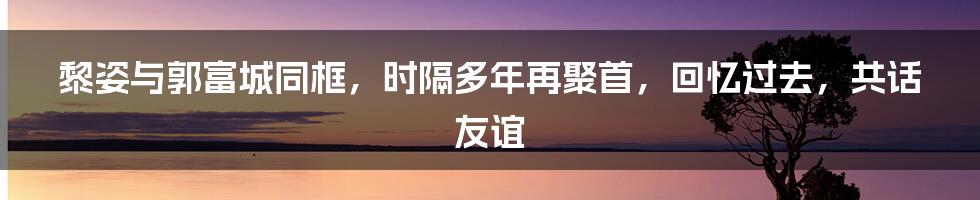 黎姿与郭富城同框，时隔多年再聚首，回忆过去，共话友谊