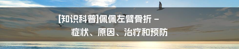 [知识科普]佩佩左臂骨折 – 症状、原因、治疗和预防