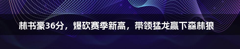 林书豪36分，爆砍赛季新高，带领猛龙赢下森林狼