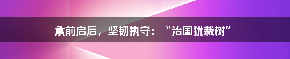 承前启后，坚韧执守：“治国犹栽树”