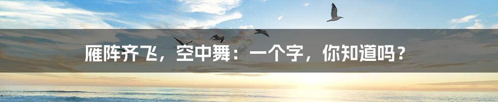 雁阵齐飞，空中舞：一个字，你知道吗？