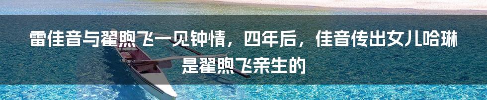 雷佳音与翟煦飞一见钟情，四年后，佳音传出女儿哈琳是翟煦飞亲生的