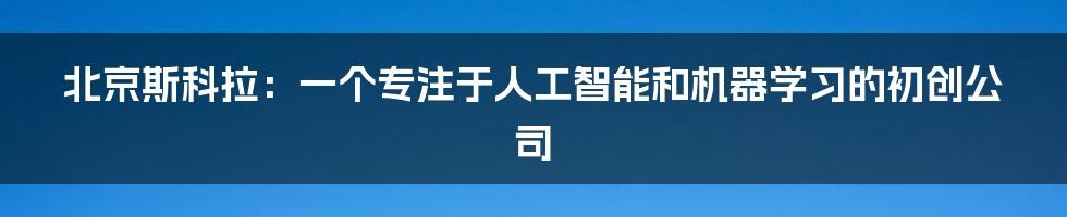 北京斯科拉：一个专注于人工智能和机器学习的初创公司