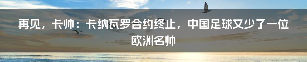 再见，卡帅：卡纳瓦罗合约终止，中国足球又少了一位欧洲名帅