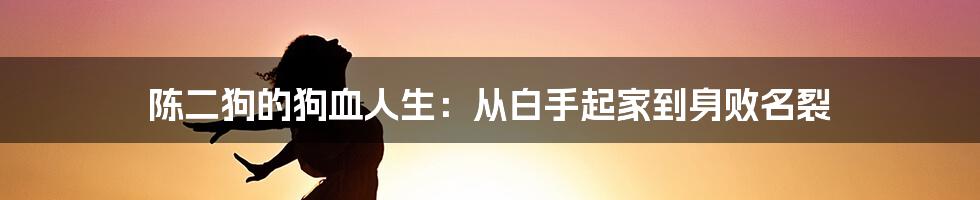 陈二狗的狗血人生：从白手起家到身败名裂