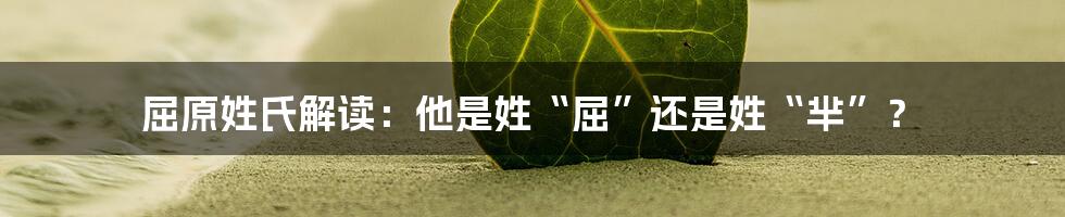 屈原姓氏解读：他是姓“屈”还是姓“芈”？