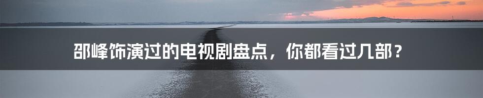 邵峰饰演过的电视剧盘点，你都看过几部？